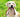 Hundesnor