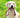 Hundesnor