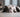 bulldog der sover