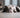 bulldog der sover
