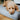 Hundepuder til små, mellem og store hunde