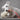 CLOUD 7 Hundeprodukter 