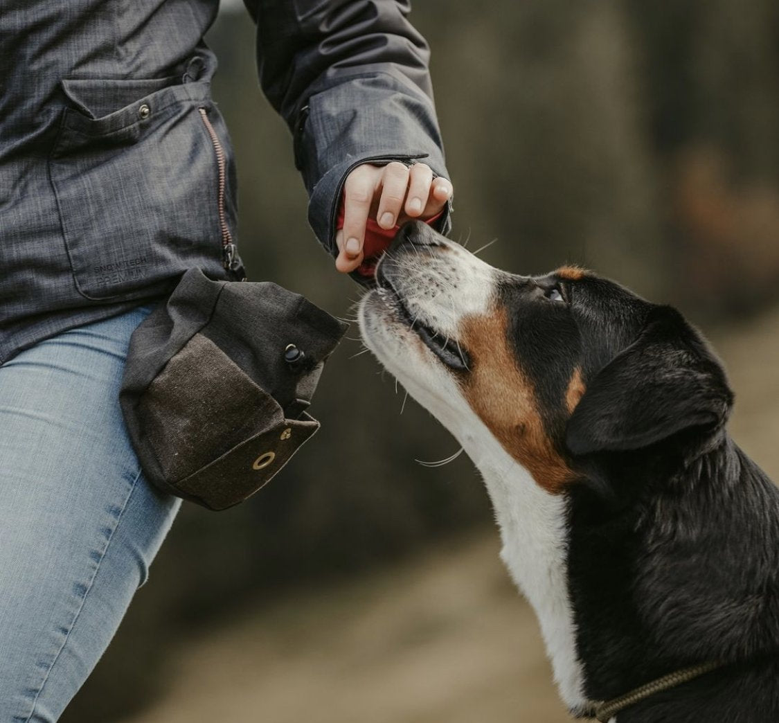 Hundesnacks