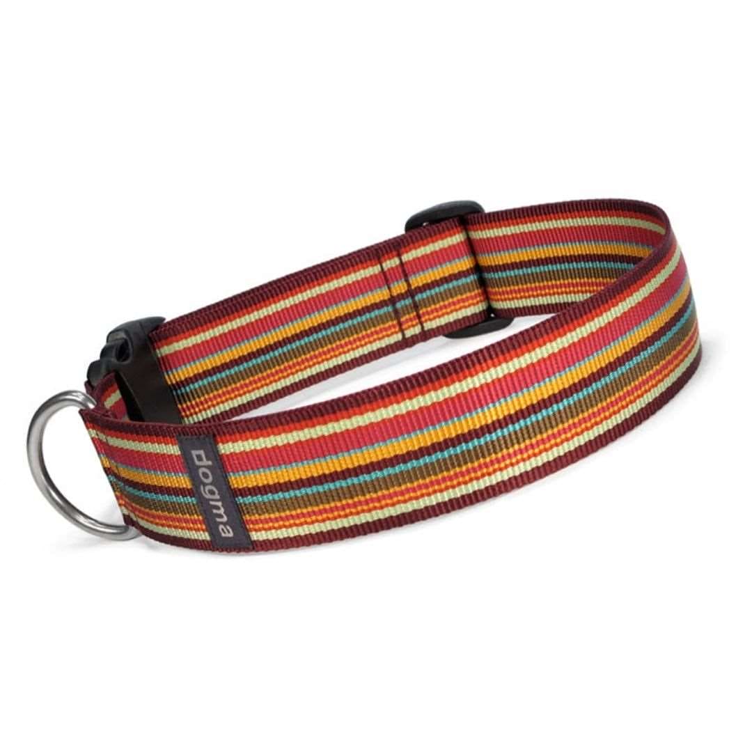 hundehalsbånd xl dogma stripes bordeaux