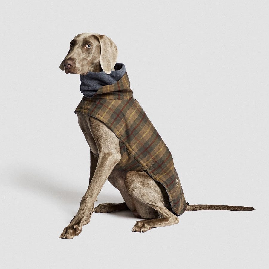 hundefrakke cloud7 brooklyn waxed tartan