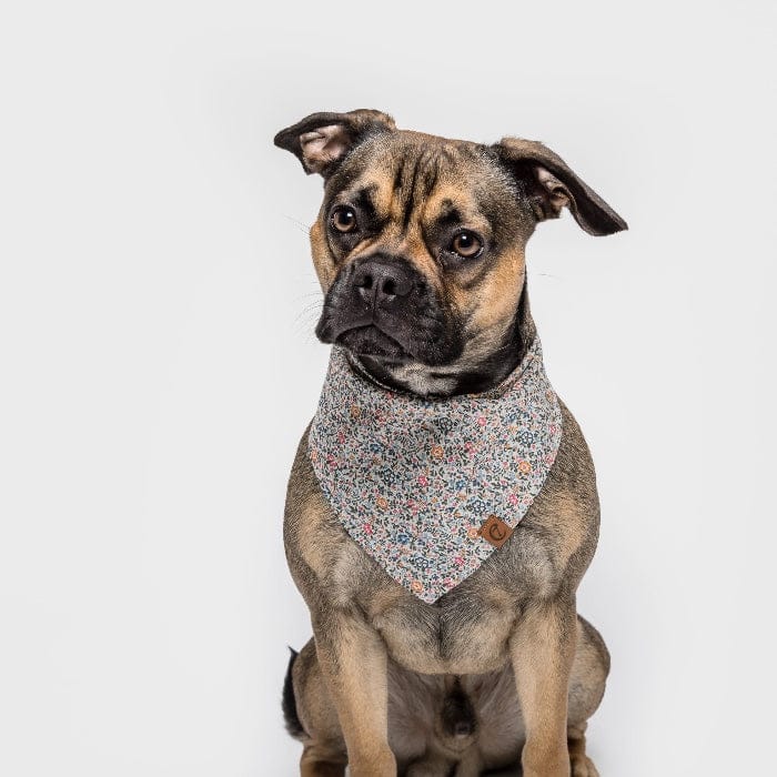 cloud7 bandana hund mille fleurs