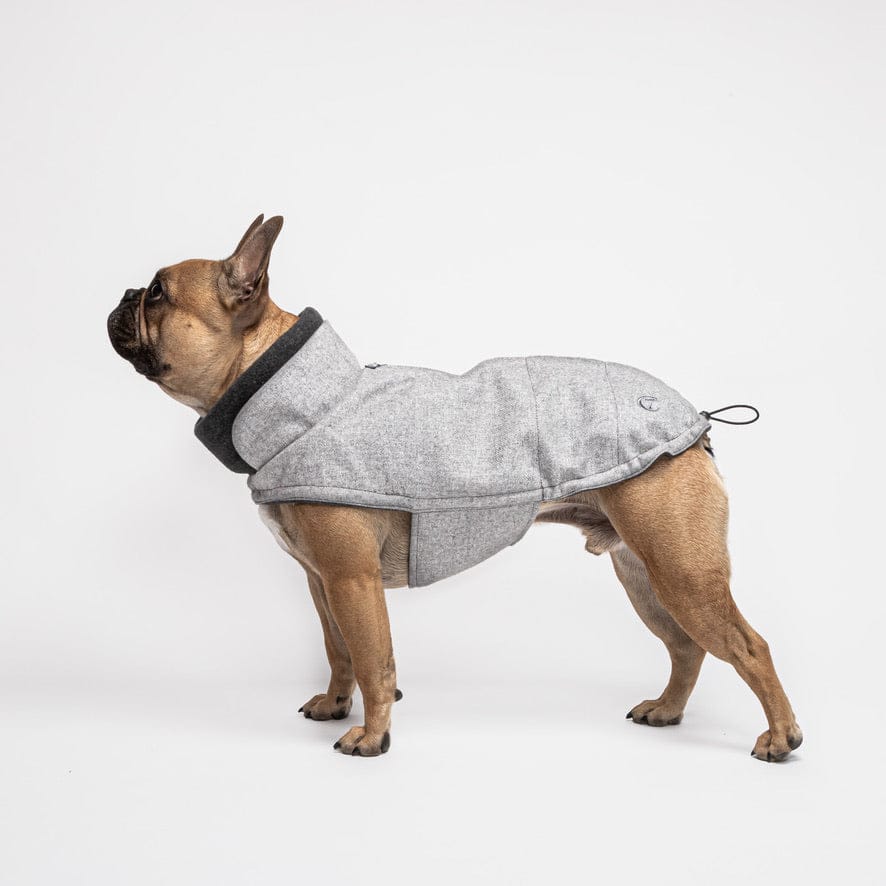 hundefrakke fransk bulldog cloud7 brooklyn flannel grey