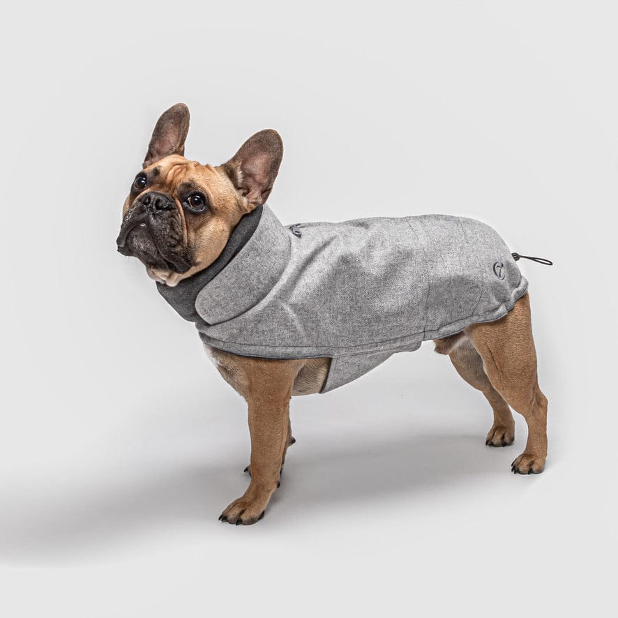 hundefrakke fransk bulldog cloud7 brooklyn flannel grey