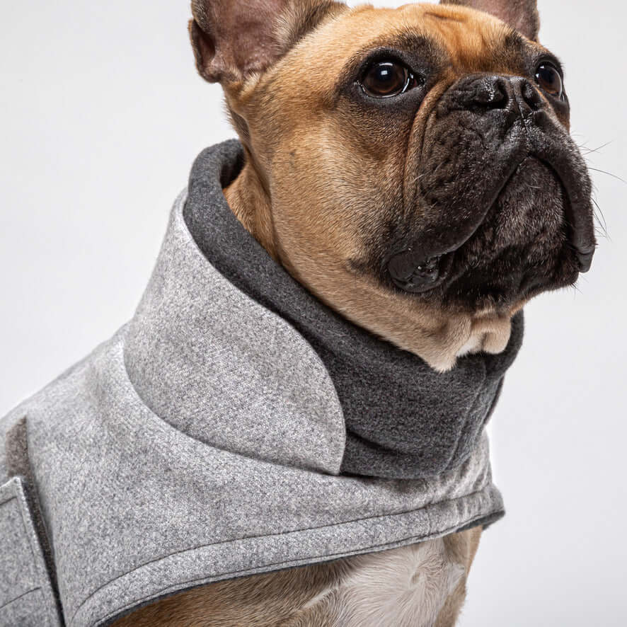 hundefrakke fransk bulldog cloud7 brooklyn flannel grey