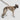 hundesele cloud7 tivoli olive