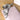labbvenn hundepude finno beige