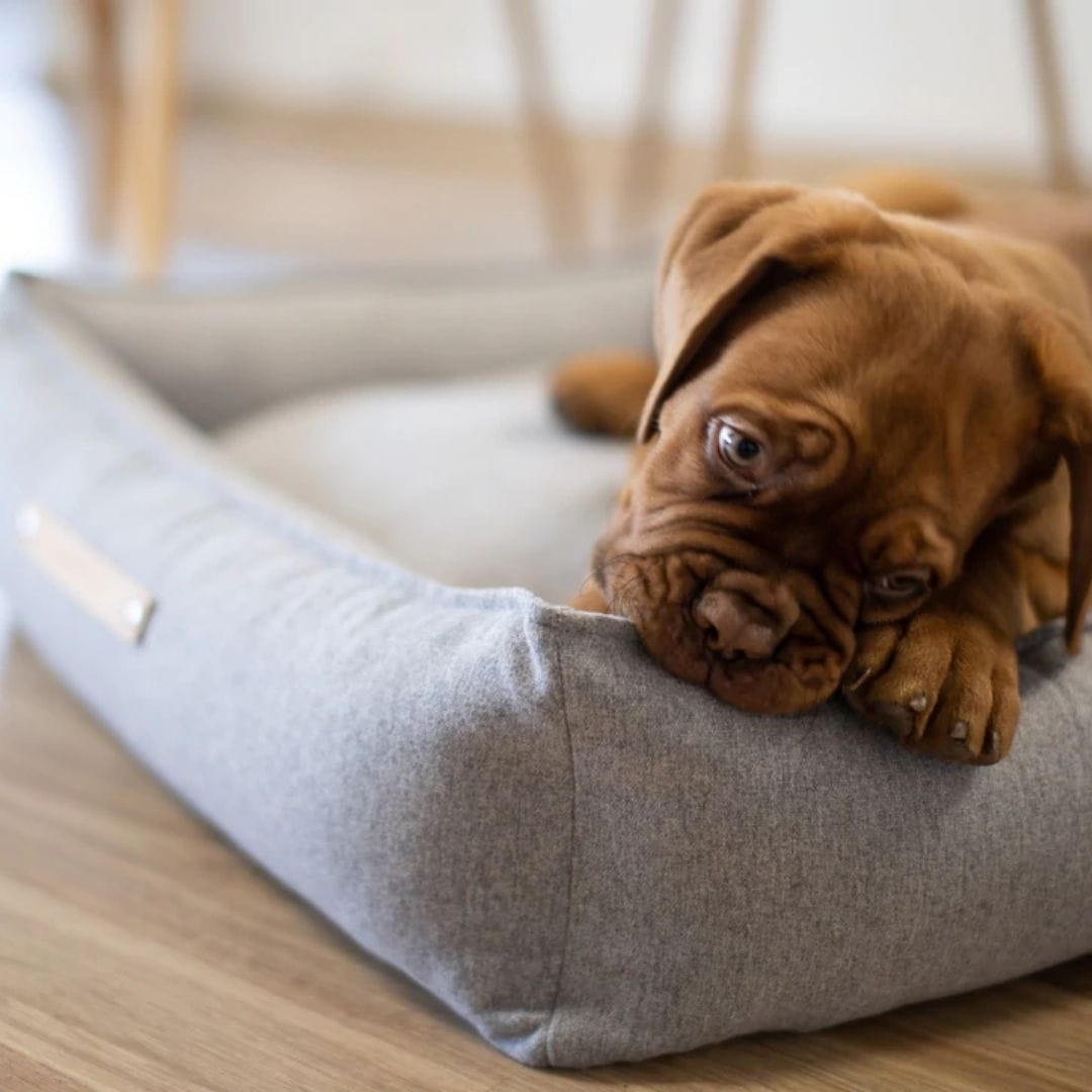 labbvenn hundeseng møvik bed lys grå