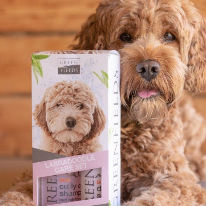 labradoodle shampoo og tørshampoo plejesæt 2x250ml