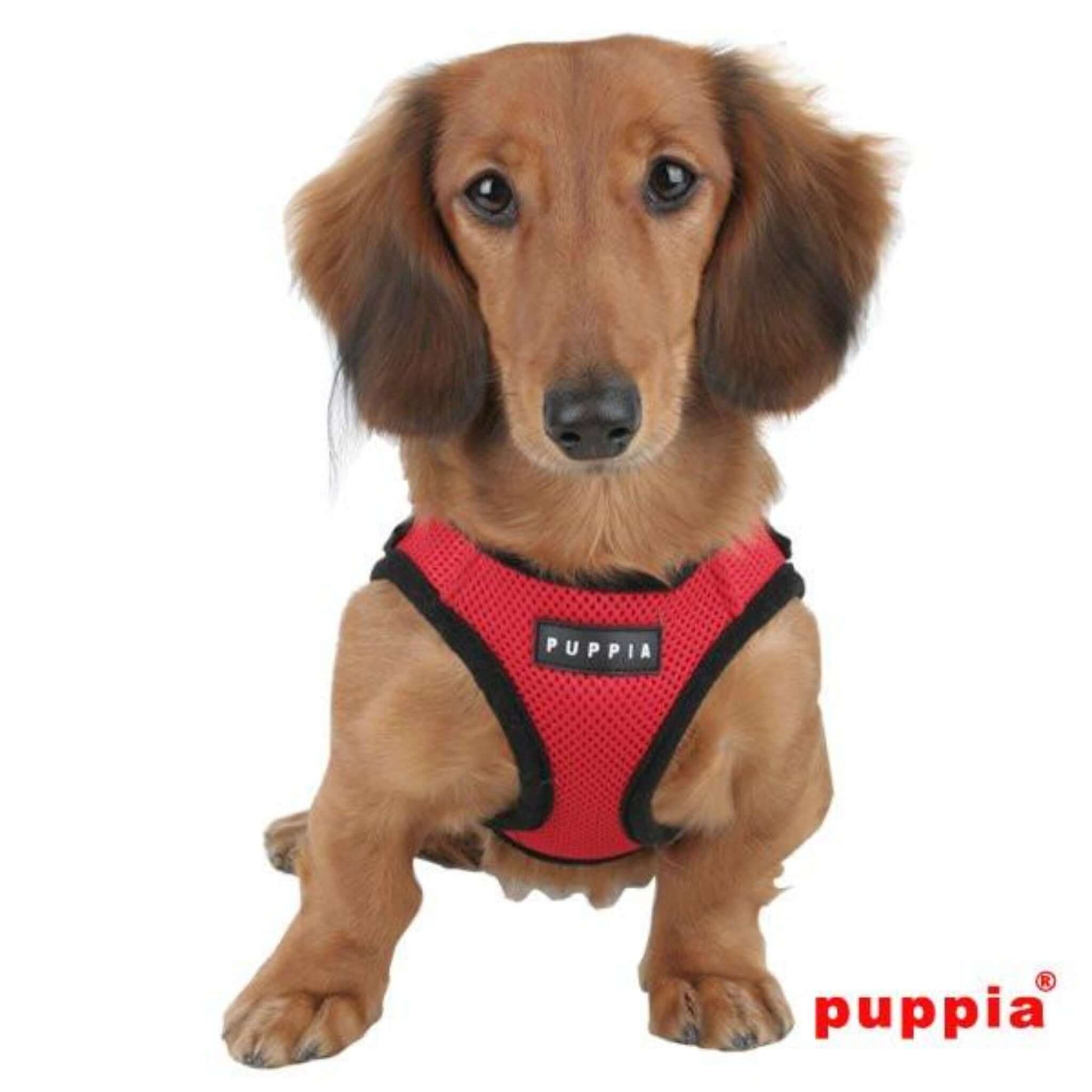 hundesele puppia super soft harness vest i flere farver