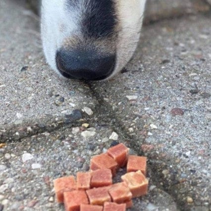 hundesnacks kylling i terninger