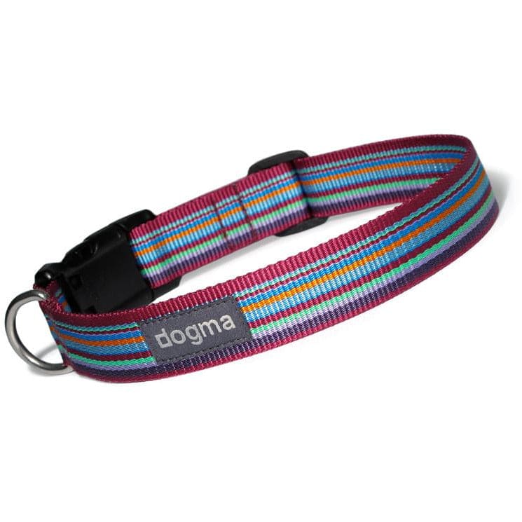 hundehalsbånd dogma stripes