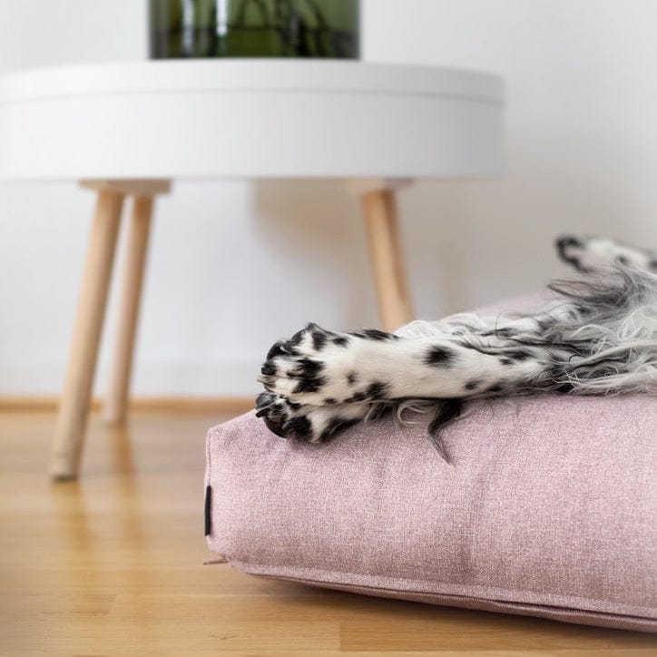 labbvenn hundepude finno rose