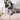 labbvenn hundepude finno beige