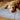 labbvenn hundepude finno beige