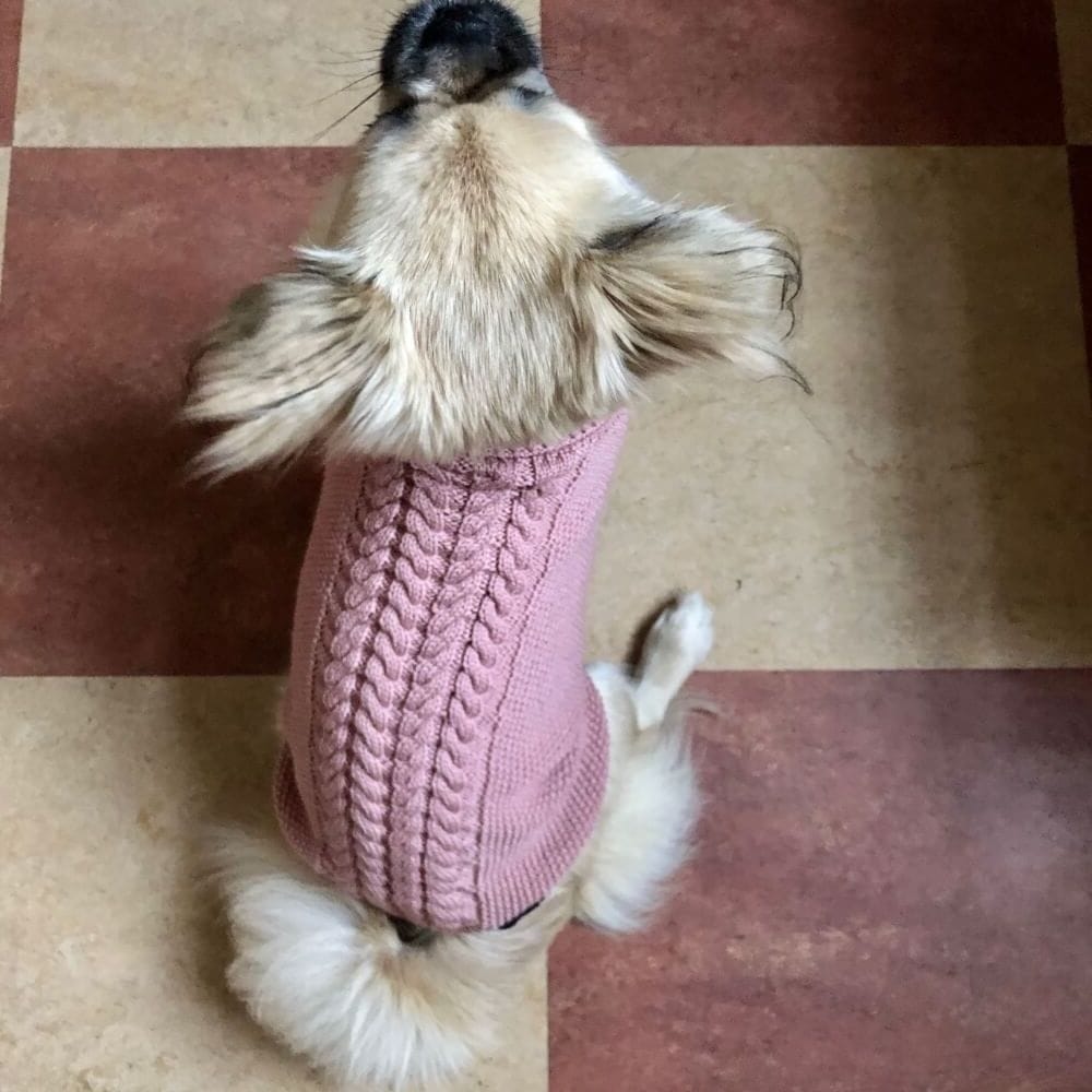 Hunde sweater rosa · Tøj små hunde · TheWoofPack.dk